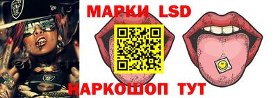 spice Кингисепп