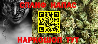 spice Кингисепп