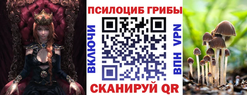 Галлюциногенные грибы Magic Shrooms  купить наркотики цена  Бутурлиновка 