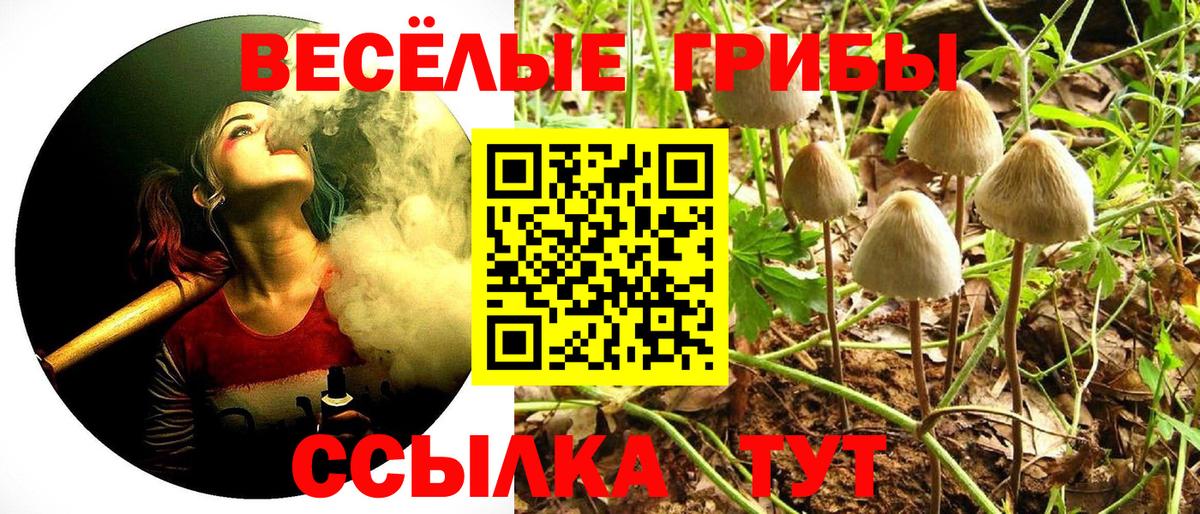 Бутурлиновка  Псилоцибиновые грибы мухоморы  Вход с VPN  Псилоцибиновые грибы Psilocybe 